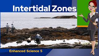 Enhanced Science 5 Interaction for Survival in the Intertidal Zones [upl. by Lorre859]