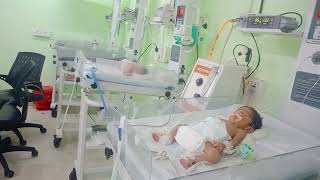 cute baby nicu baby care newbornbaby admission hospital viralvideos [upl. by Courcy71]