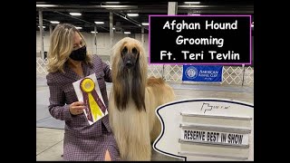 Afghan Hound Grooming ft Teri Tevlin [upl. by Atcele]