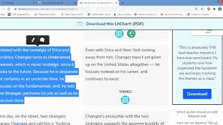 The Reluctant Fundamentalist Chapter 8 Lecture 11 [upl. by Anertal211]