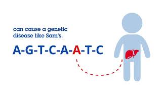 Gene Therapy Animation [upl. by Edniya]