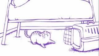 That Purple Cat Travel getting into a cat carriermov [upl. by Placida]