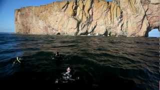 En mer avec les pêcheurs côtiers  Gaspésie [upl. by Lenwood]