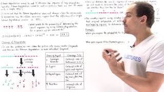 Sequencing Amino Acids by Proteolytic Cleavage [upl. by Attenreb]