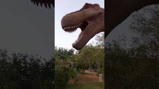 Dino Safari Park funtime fypシ゚viral foryou [upl. by Uhn]