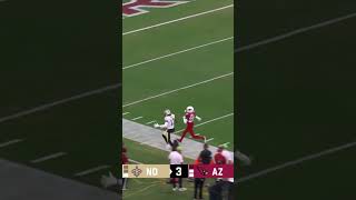 Haener to Perry for 58 yards WhoDat NFL [upl. by Nedla]