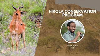 Protecting Hirola Antelope  Wildlife Conservation Expo [upl. by Aros947]