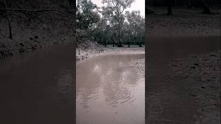 yah najara bahut khubsurat hai  Sundarban forest sundarban tumpakitchenroomandvlog [upl. by Mcwherter14]