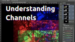 Understanding Channels in Photoshop [upl. by Assej]