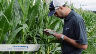 Timac Agro USA Employee Testimonials [upl. by Carvey914]