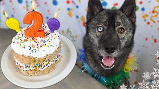 How To Make a Apple Chicken Birthday Cake For Dogs 🎂 DIY Dog Treats [upl. by Zetnauq]