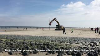 BaumMaßnahmen auf Wangerooge [upl. by Jaffe]