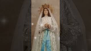 Immaculate Heart of Mary pray for us immaculateheartofmary mamamary fyp viralvideo shorts [upl. by Mosier]