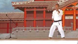 Karate Performance 赤嶺 嘉松 空手  Okinawa Festival 2012 in Honolulu [upl. by Ezarra]