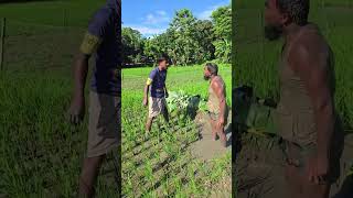 New Funny Video Bangla shorts youtubeshorts funny comedy viral [upl. by Kristy]