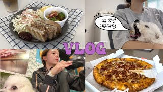 ✏️vlog05  먹고 면접 준비하고 먹고 면접 준비하는 취준생 브이로그  현대자동차 경력직 1차면접 준비  10년만에 바꾼 스케이트 [upl. by Anoy]