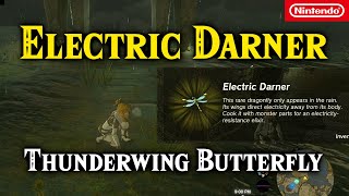 Electric Darner And Thunderwing Butterfly Location Using Sensor Plus With Compendium  Zelda TotK [upl. by Balfour948]