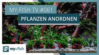 Pflanzengruppen im Aquarium richtig einsetzen  myfish TV 061 [upl. by Udale]