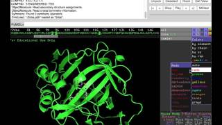 Pymol tutorial active site and metal binding of HCAII [upl. by Lehte]