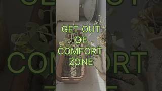 Home Gardening Transforming A plant for its growth growth homegarden [upl. by Reed]