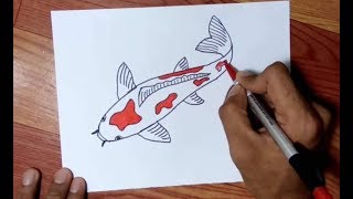 Cara Menggambar IKAN KOI dengan Mudah [upl. by Anitniuq]