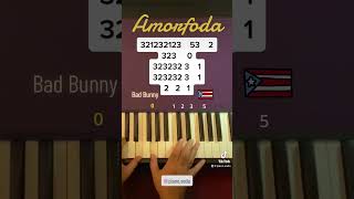 ‘Amorfoda’ de Bad Bunny Piano cover y tutorial amorfoda badbunny pianocover pianotutorial [upl. by Carli]