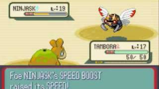 Pokemon Sapphire Walkthrough Part 23 Route 113  Fallarbor Town [upl. by Gunzburg]