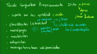 Tecido Conjuntivo Propriamente Dito  Aula 2 [upl. by Grover102]