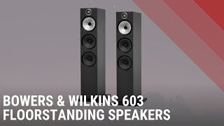 Bowers amp Wilkins BampW 603 Floorstanding Speakers  Quick Look India [upl. by Jarib]