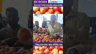 Kolar tomato market rates Tomato rates today tomato rates in Kolar Venu7tv tomato rates Kolar 🍅🍅 [upl. by Pedrotti]