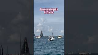 Barcolana Regatta in Trieste boat race fyp [upl. by Richmound797]