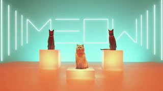 Meow ReMix Live Loop [upl. by Meerak918]