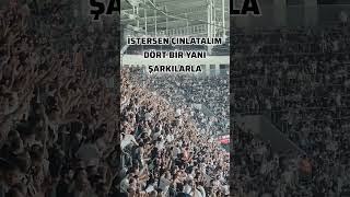 Şampiyon Beşiktaşım Ne İstersen İste Benden amazing besiktas besiktasfans bjk blackwhite [upl. by Stucker324]