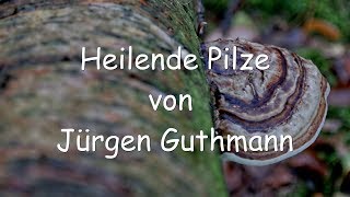 Heilende Pilze von Jürgen Guthmann  Heilpilze Vitalpilze 1  Literaturempfehlung [upl. by Enitnelav]