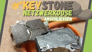 Keystone Netzwerkdose ▶ DAS musst Du beim Anschließen beachten [upl. by Nonnaihr]