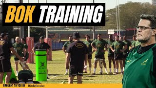 Springboks Training Session  Springboks vs Wales [upl. by Hanser]