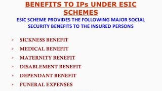 ESI Benefits  How to get ESIC benefits PART 5 [upl. by Ruffina]