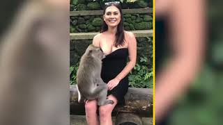 Monkey pulls down tourist’s dress Video New York Post [upl. by Edmon]