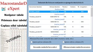 MacrostandarD eXpert Tutorial copierea stilul tabelului in Excel [upl. by Gonzalo414]