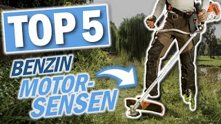 Die besten BENZIN MOTORSENSEN  Top 5 Benzin Freischneider Rasentrimmer [upl. by Feingold713]