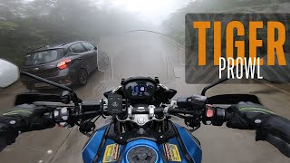 Prowling Tiger in the rain  Tiger 1200 Xcx  4K ASMR Ambient lofi Rain Sound  NH60  India [upl. by Ardnalak159]