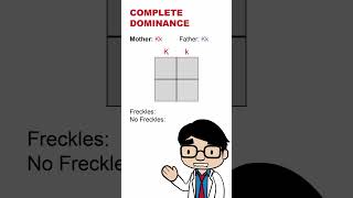 Genetics Punnett Square for Complete Dominance genetics alleles dna hereditary genes Punnett [upl. by Fretwell]