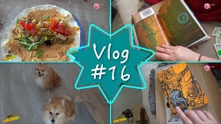 VLOG 16 🎥 CELUI QUI RECOIT QUELQUES PAQUETS  🎥JessLivraddict [upl. by Anselme2]