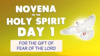 🙏 NOVENA to the HOLY SPIRIT Day 1 🔥 Prayer for the GIFT of FEAR of the LORD [upl. by Runstadler955]