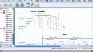 Correlación Canónica SPSSavi [upl. by Yenial]