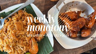 Weekly Monotony Oct 713 2024 Vlog [upl. by Niliac411]