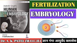 Embryology Fertilization Mbbs Bams Ncism in human Gyan ganga Ayurveda classes Dr Anil Patel [upl. by Ellenej]