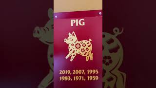 Chinese New Year 2024 Horoscope  Pig Zodiac lucky lunarnewyear zodiac yearofthedragon [upl. by Naj]