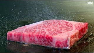 Rare Kobe Beef in Tokyo  Japanese Food Teppanyaki [upl. by Naam]