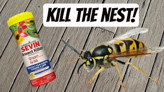 How to Kill Ground Hornets Underground [upl. by Montfort]